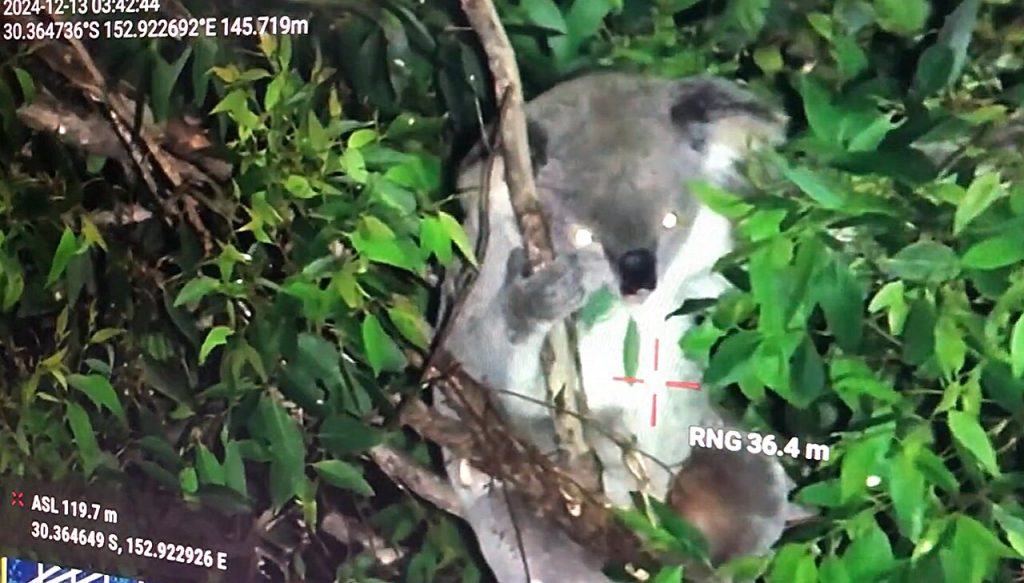 Researchers say urgent rethink on logging is needed Researchers say urgent rethink on logging is needed