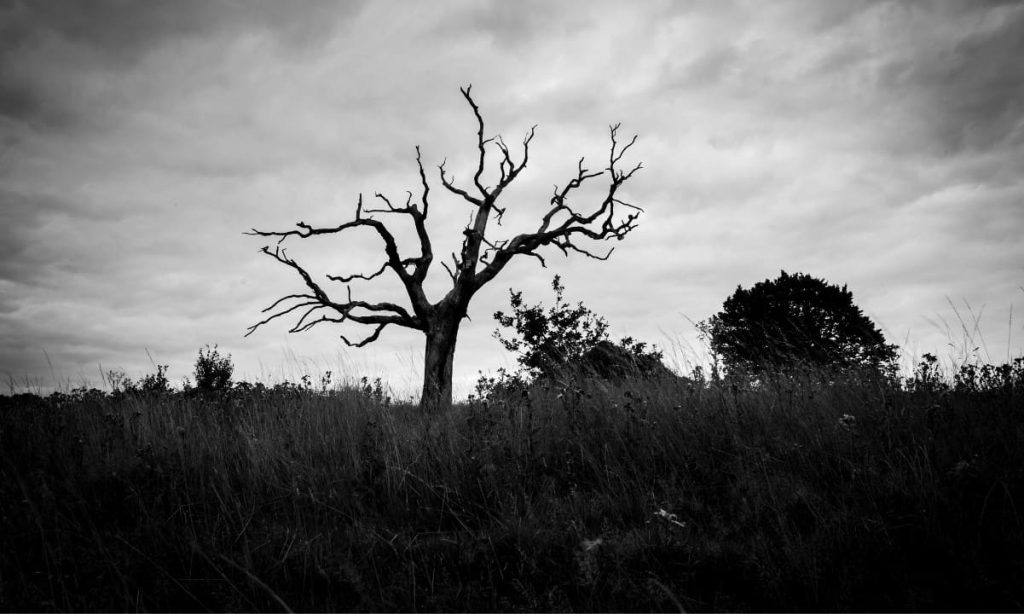 Are Altcoins Rekt Forever? Only 29% of Top Projects Have Outperformed BTC This Year