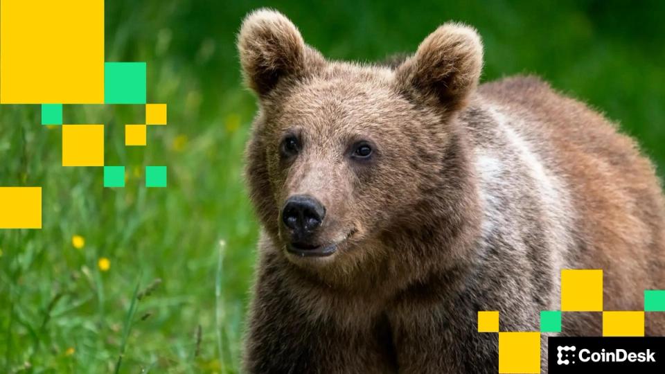 ‘Extremely Bearish:’ Is $91K New Bitcoin Price Target? 'Extremely Bearish:' Is $91K New Bitcoin Price Target?